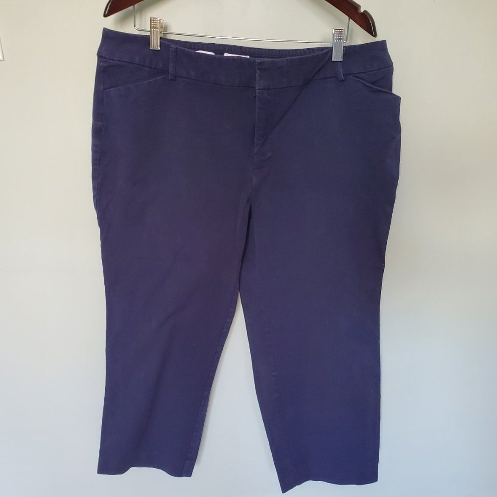 Charter Club Navy Blue Capris (Stretchy!) 18W